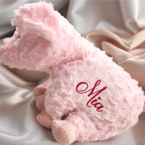 Personalized Pig Plush Toy: Custom Nursery Decor, Keepsake Gift