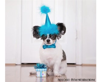 dog birthday hat etsy