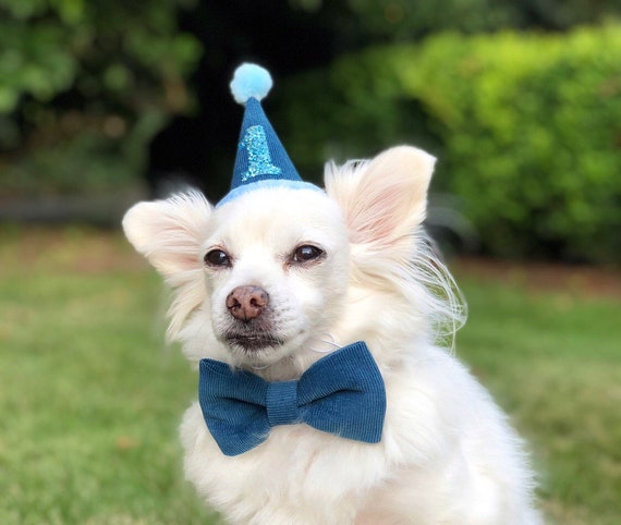 Etsy dog birthday hat 2025