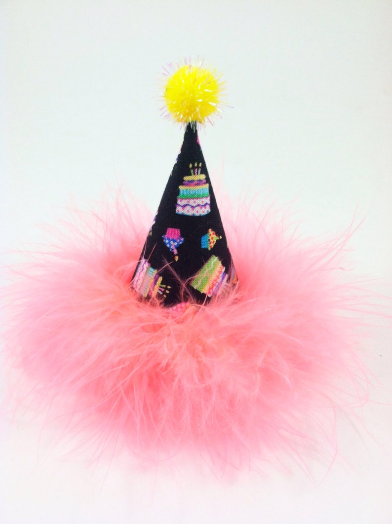 Dog Party Hat Cat Party Hat Cake theme Hat Etsy