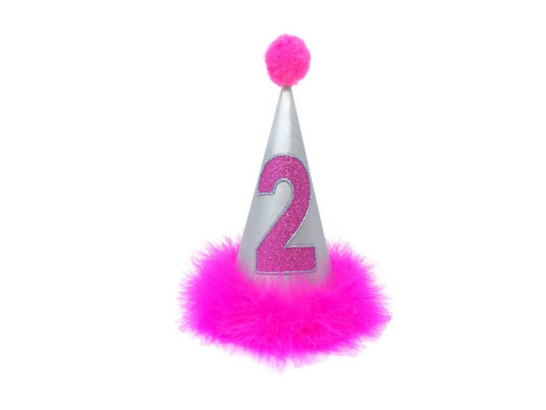 Dog Birthday Hat Silver and Hot Pink Hat Etsy