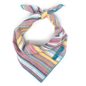 Summer Vibes chien bandana, rayures pastel