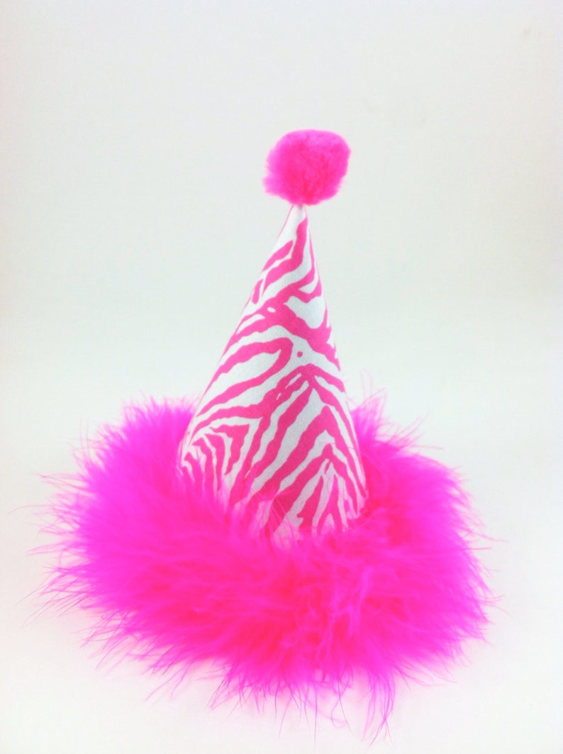 Dog Birthday Hat Cat Birthday Hat Zebra Party Hat Hot Pink Etsy