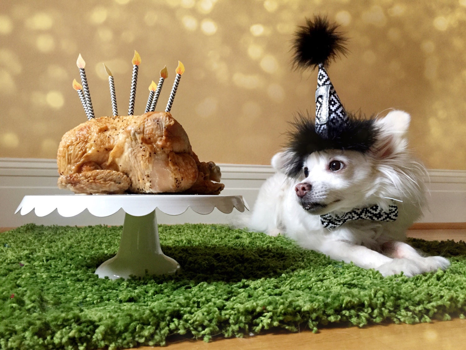 Dog Party Hat Dog Birthday Hat Leopard Print and Gold Etsy