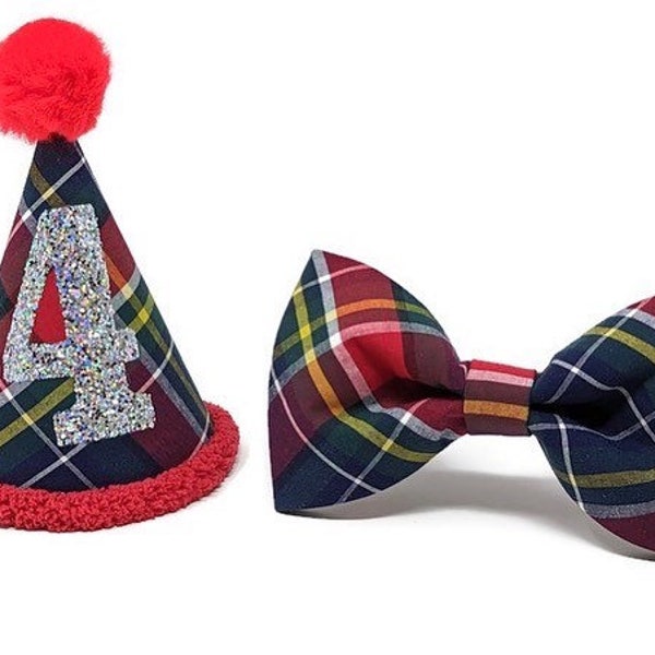 Classic Plaid Birthday Hat with Silver Number, Silver Hat, Plaid Birthday Accessories, Dog Birthday Hat, Cat Birthday Hat