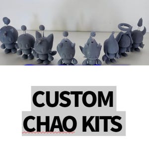 Custom 3D Print Chao image 1