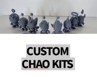 Custom 3D Print Chao