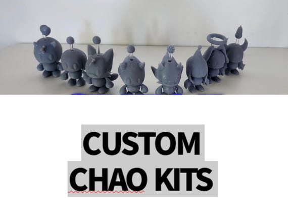 Custom 3D Print Chao