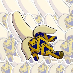 Bruised Banana: Vinyl Sticker | Custom Drawn Vinyl Sticker | Water Resistant Decal | Original Art for Laptop, Water Bottle, Journal and more