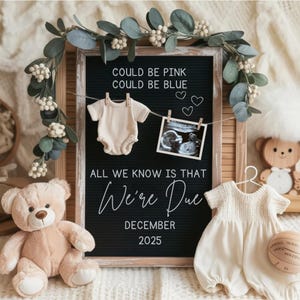 Digital Pregnancy Announcement, Digital Baby Reveal, Social Media Editable Template,Gender Neutral Announcement, Boho Pregnancy Reveal