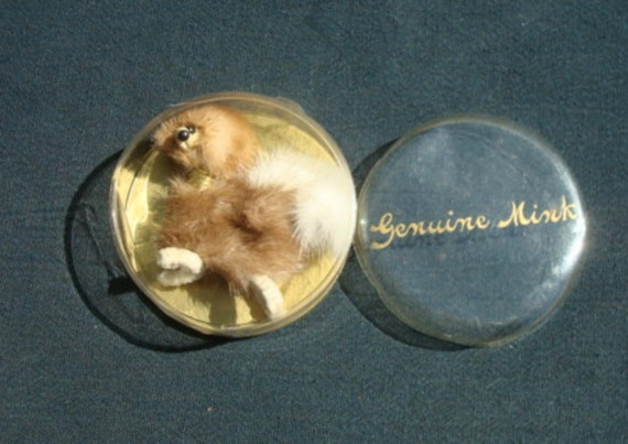 1950s Genuine Mink Poodle Pin or Brooch in Origin… - image 1