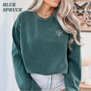 Embroidered Luke Combs World Tour 2024 Shirt, Combs Bullhead Sweatshirt Country Music Sweatshirt, Country Music Fan, Cowboy Combs Sweatshirt