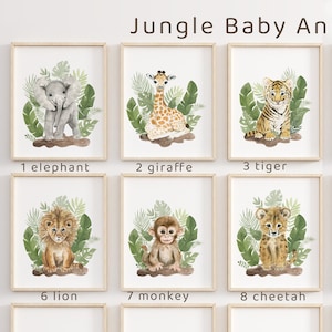 May include: Twelve watercolor illustrations of jungle animals, each framed in a light wood frame. The animals include an elephant, giraffe, tiger, hippopotamus, orangutan, lion, monkey, cheetah, zebra, meerkat, and rhinoceros. The illustrations are set against a white background.