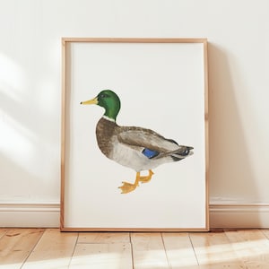 Watercolor Mallard Duck Art, Mallard Duck Nursery, Duck Nursery Print, Hunting nursery, Farm Nursery, Giclee Art Print, Gift Duck Wall Art,