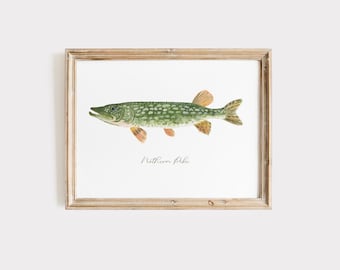 Northern Pike Watercolor Art Print, Lake House Decor