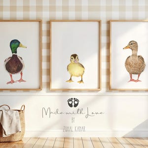 Mallard Duck Decor, Duck nurser prints, Mallard Duck Prints, Duck Print Set 3 , Neutral Duck Nursery,  Duck Nursery Gift, Duck Family Prints