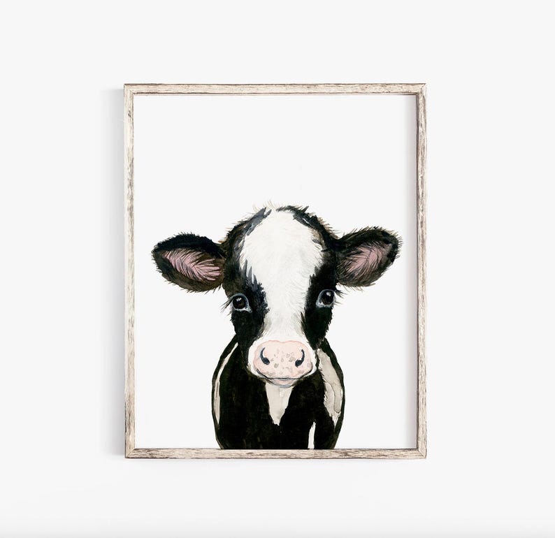 May include: A watercolor painting of a black and white calf with a pink nose. The calf is looking directly at the viewer.
