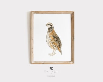 Könnte beinhalten: Ein gerahmter Aquarelldruck einer Wachtel. Der Vogel ist in Braun-, Beige- und Weißtönen mit detaillierten Federmustern dargestellt. Der Rahmen ist hellbraun. Der Druck befindet sich auf einem weißen Hintergrund.