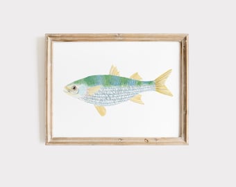 Watercolor Mullet Fish Art Print, Coastal Kitchen Decor