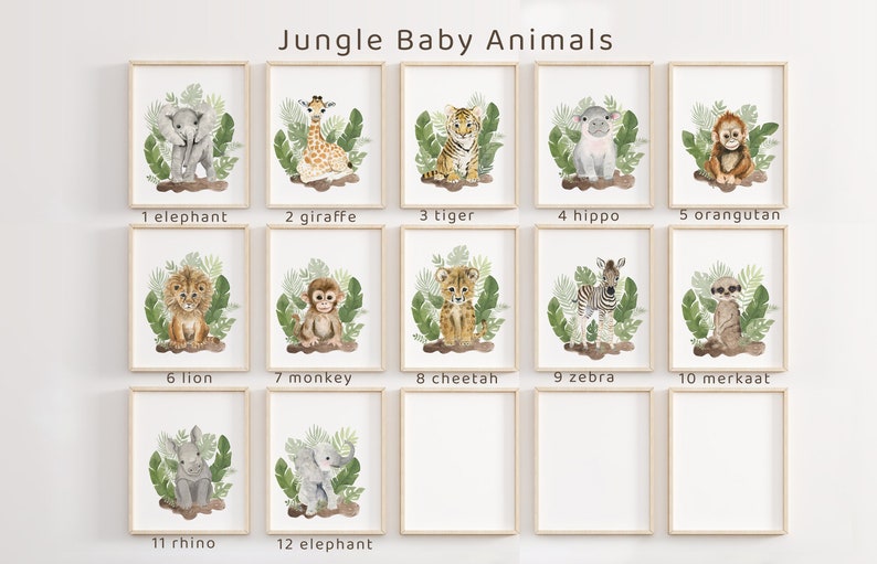 May include: Twelve watercolor illustrations of jungle animals, each framed in a light wood frame. The animals include an elephant, giraffe, tiger, hippopotamus, orangutan, lion, monkey, cheetah, zebra, meerkat, and rhinoceros. The illustrations are set against a white background.