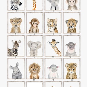 Safari Animals Nursery Art Print Set, Elephant, Lion, Zebra - Etsy