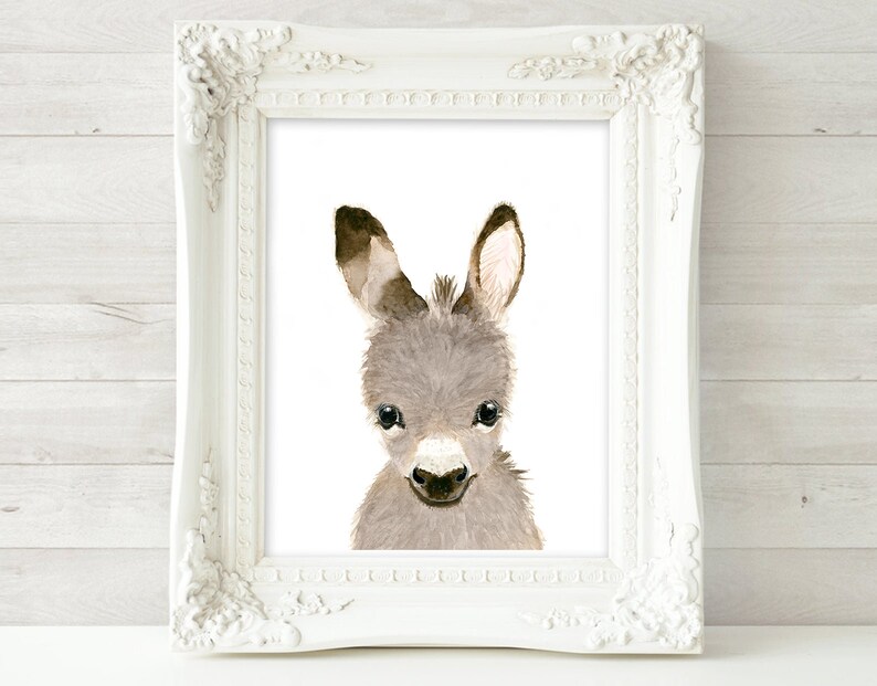 Baby Donkey Nursery Art Print Donkey Wall Art Nurserydecor Etsy