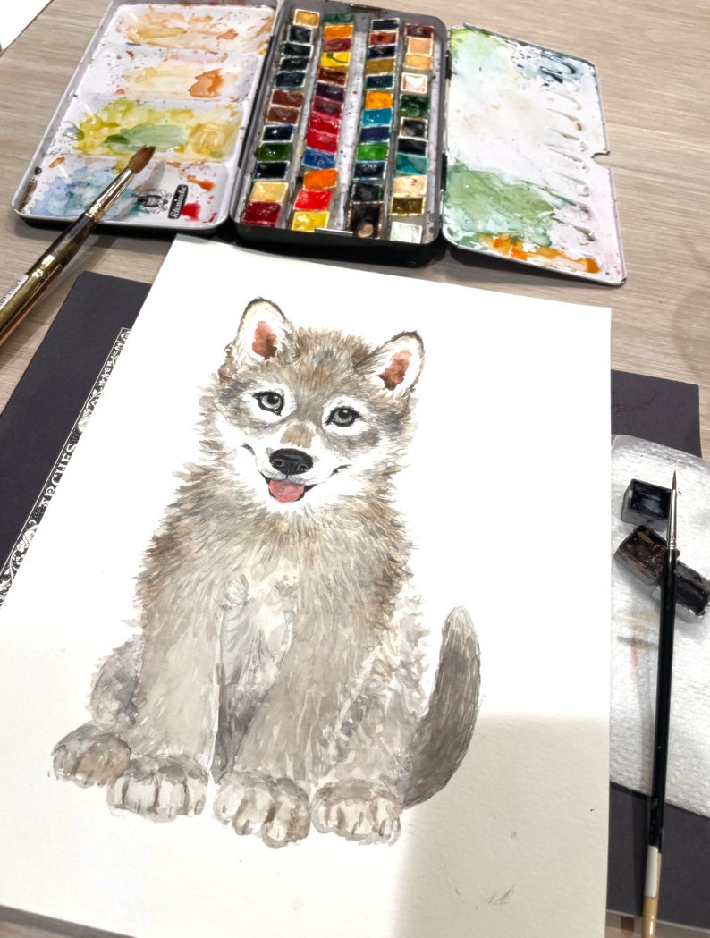 May include: Watercolor painting of a gray wolf pup sitting on a white background. The wolf pup has a light gray coat with darker gray markings. It has a pink nose and tongue, and its eyes are brown. The painting is done in a realistic style.
