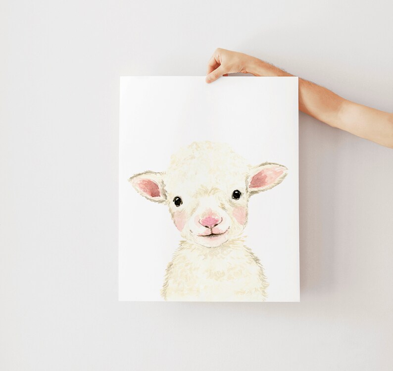 May include: A watercolor painting of a white lamb with pink ears and nose. The lamb is looking directly at the viewer with a sweet expression.