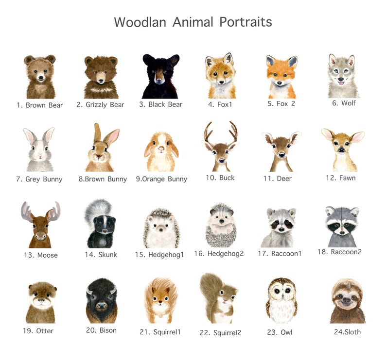 Op de afbeelding: Een set van 24 aquarel illustraties van bosdieren, waaronder een bruine beer, een grizzlybeer, een zwarte beer, een vos, een wolf, een konijn, een hert, een ree, een fawn, een eland, een stinkdier, een egel, een wasbeer, een otter, een bizon, een eekhoorn, een uil en een luiaard. Elk dier is afgebeeld in een schattige en grillige stijl.