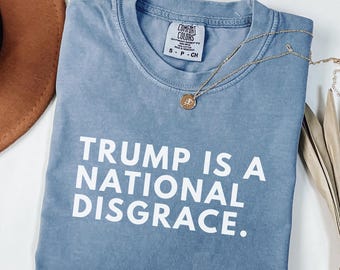 Comfort Colors Anti-Trump Protest Shirt: Abolish ICE Tee