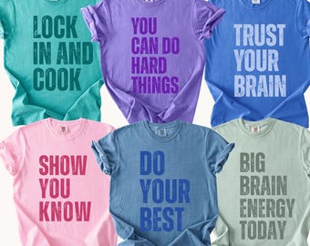 Test Day Shirt, Matching State Testing Shirts, Teacher Team TShirts, Comfort Colors, Gen Z School Testing Day Tee, Testing Coordinator Shirt