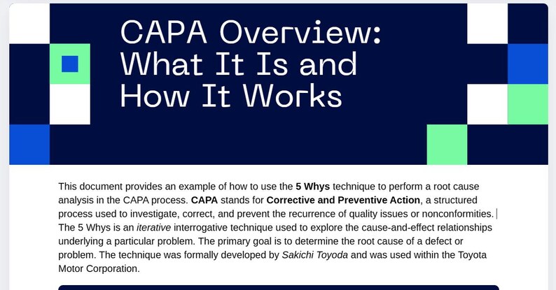CAPA Overview & 5 Whys Root Cause Analysis Example (printable PDF) - Etsy