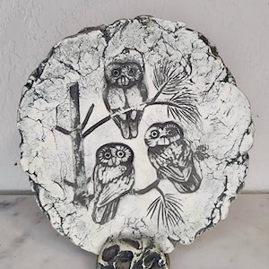 May include: A round, white ceramic wall hanging with a textured, cracked appearance. Three owls are perched on a branch, with a tree trunk on the left. A small, textured, oval-shaped piece is at the bottom.