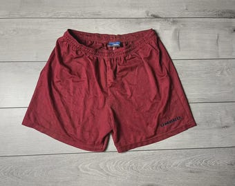 Short de foot replica Dri-FIT Norvège 2025/26 Stadium Extérieur