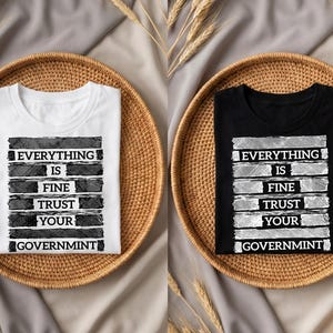 Todo está bien, confía en tu gobierno PNG, Todo está bien político PNG, Confía en tu gobierno Conspiración Descarga digital camiseta