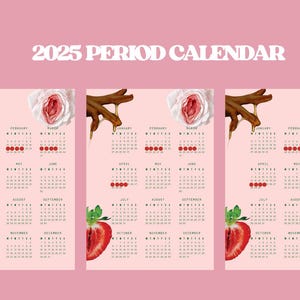 PERIOD TRACKER 2025_ PRINTABLE
