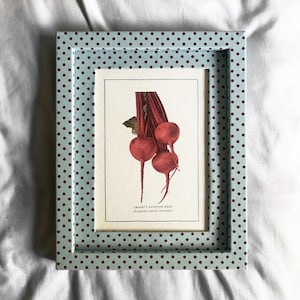 Op de afbeelding: Een ingelijste botanische prent met drie rode bieten met lange stelen en groene bladeren. De prent is geplaatst in een lichtblauw frame versierd met een patroon van kleine, donkerrode stippen. De tekst onderaan luidt "Crosby's Egyptian Beet".