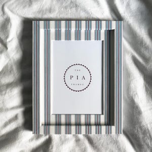 May include: A rectangular picture frame featuring a vertical striped pattern in shades of light blue, dark red, and white. The frame surrounds a white insert that displays the text THE PIA FRAMES centered within a circular scalloped border.
