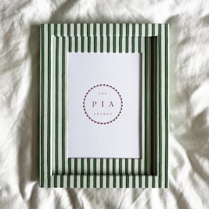 Könnte beinhalten: Rechteckiger Bilderrahmen mit grün-weißen Streifen. Der Rahmen enthält den Text "THE PIA FRAMES" in einem kreisförmigen Design. Der Rahmen befindet sich vor einem weißen Hintergrund.
