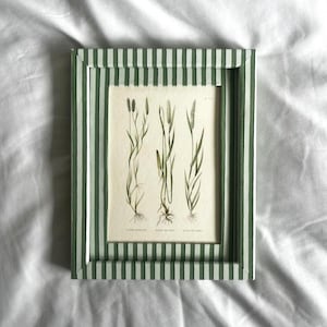 Könnte beinhalten: Ein gerahmter botanischer Druck mit drei detaillierten Illustrationen von Pflanzen mit Wurzeln und Samenständen. Der Rahmen hat ein grün-weißes Streifenmuster. Das Kunstwerk wird auf weißem Hintergrund angezeigt.