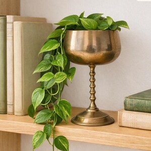 May include: A metallic bronze-toned pedestal planter with a rounded bowl and a slender, ribbed stem. A trailing green pothos plant with variegated heart-shaped leaves spills over the side of the bowl, resting on a wooden shelf.