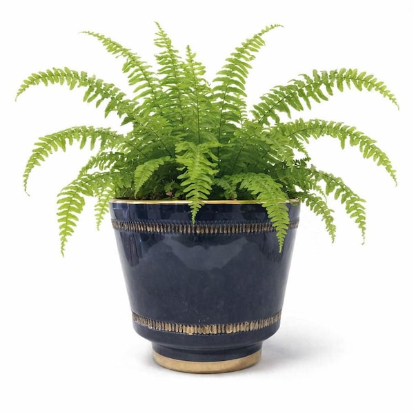 Vintage 1980s Italian Blue Black Ceramic Planter with Gold Accents – Saywell Imports