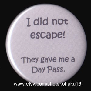 Day Pass Instead of Escape Pinback Button