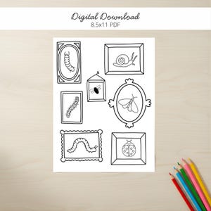 May include: Black and white digital download art print featuring framed illustrations of insects and a snail. The print includes a caterpillar, a moth, a ladybug, and a fly. The text "Digital Download 8.5x11 PDF" is at the top.