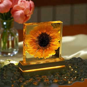 Real Sunflower Night Light, Sunflower Paperweight, Sunflower Decor Night light, Friend Gifts, Friend Ornament, mother&#39;s day gift for her