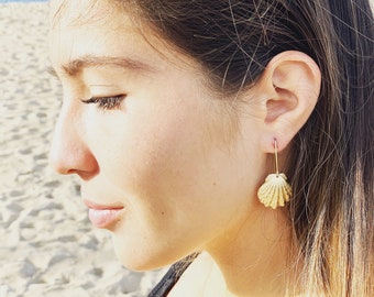Sunrise Shell Earrings (14k Gold over Sterling Silver), Sunrise Shell Jewelry, Shell Earrings, Shell Jewelry, Seashell Earrings