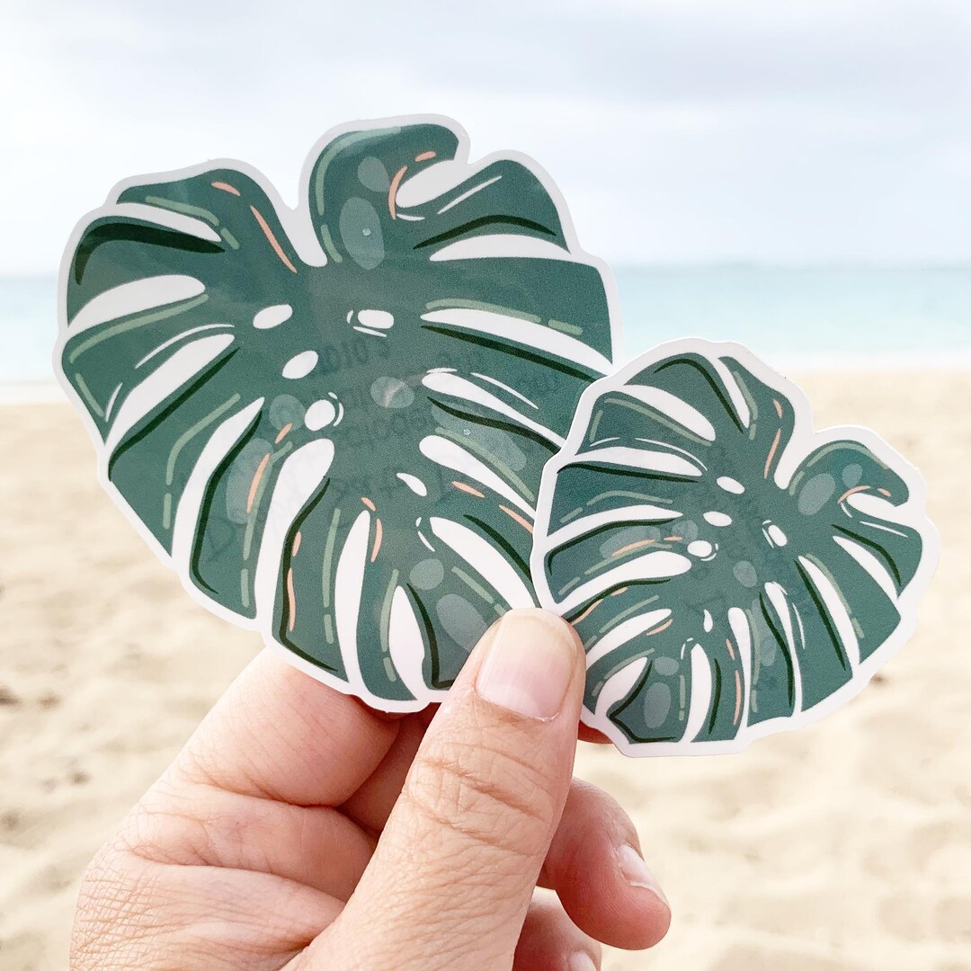Monstera Sticker Pack, Plant Lover Sticker Pack, Leaf Sticker, Monstera ...