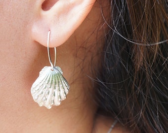 Sunrise Shell Earrings (Sterling Silver), Sunrise Shell Jewelry, Shell Jewelry, Seashell Earrings, Shell Collector Gift, Shell Lover Gift