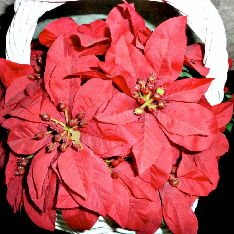 Poinsettias in Heavy White Wicker Basket, 1980s image 4