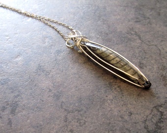 Wire-Wrapped Fossil Necklace